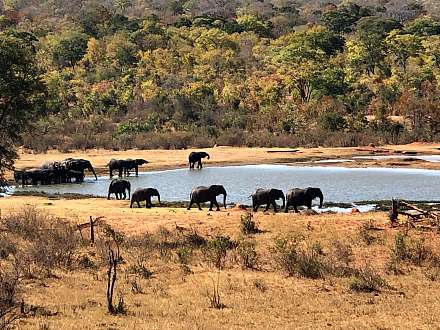Hwange National Park
