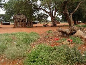 林波波国家公园 2