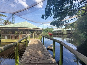 伊甸园鸟类保护区 2