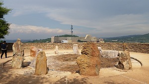 自由公园 5