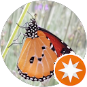 attractions-reviews-avatar