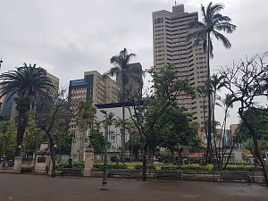 德班市政厅 4