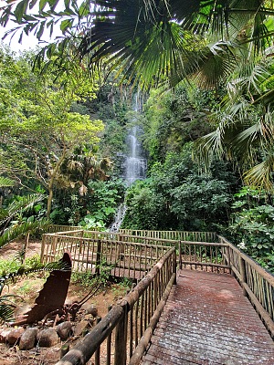 乌姆吉尼河鸟类公园 4