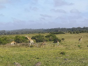 克莱格迦马野生动物保护区 5