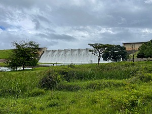 米德马自然保护区 2