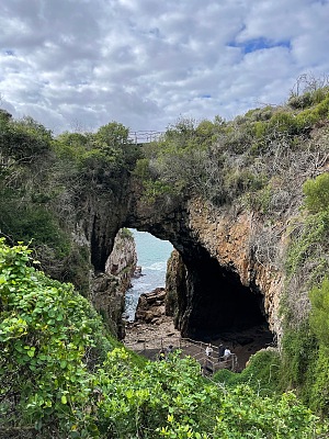 羽毛床自然保护区 4