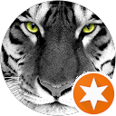 attractions-reviews-avatar