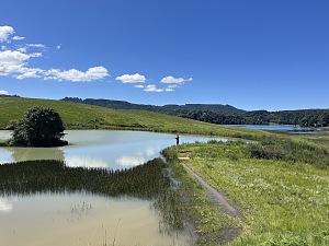Mbona自然保护区 4