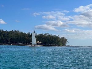 蓝湾 4