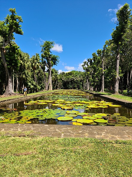 庞普勒穆斯皇家植物园