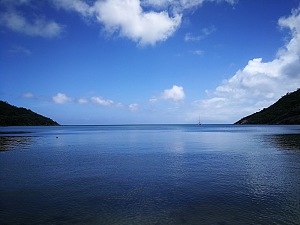 特内湾国家海洋公园 3