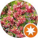 attractions-reviews-avatar