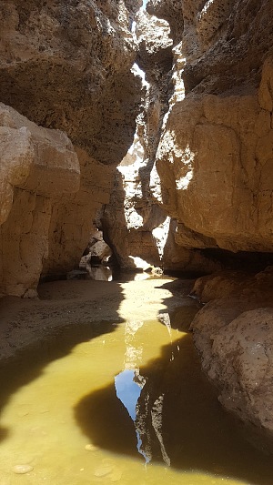 塞斯瑞姆峡谷 4