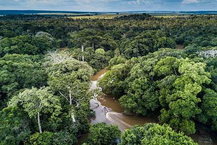 Odzala National Park