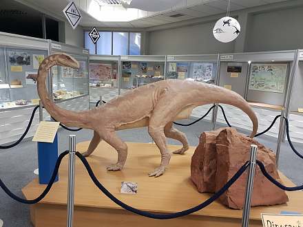 国家地球科学博物馆