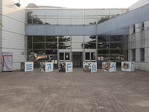 法国驻刚果共和国文化中心 4