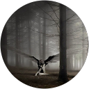 attractions-reviews-avatar