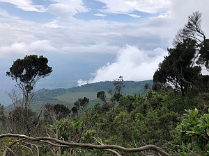 尼拉贡戈火山 3