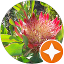 attractions-reviews-avatar