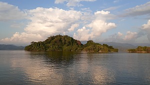 基伍湖 3