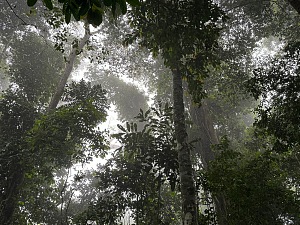 德贾动物保护区 5