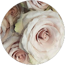 attractions-reviews-avatar