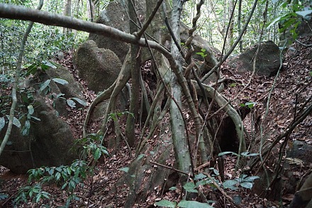 坎波保护区