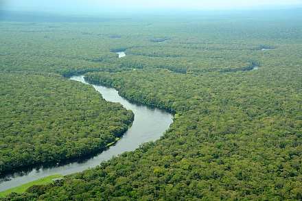Minkebe National Park