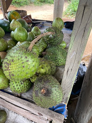 伊科特阿巴西 4