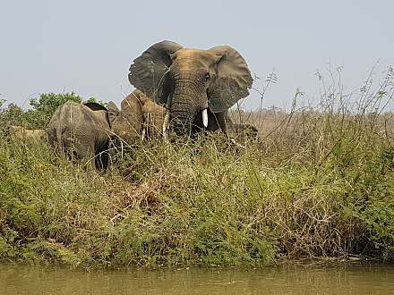 W National Park