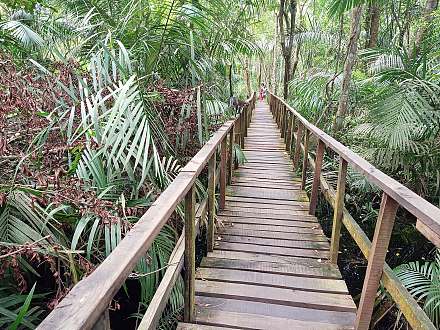 Lekki Conservation Centre