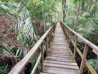 Lekki Conservation Centre