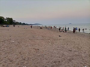 森加湾 5