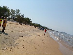 森加湾 2