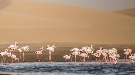 Walvis Bay