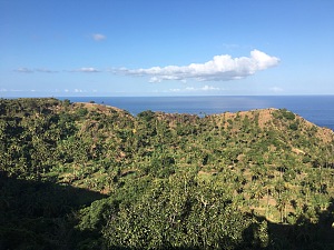 伊科尼 3
