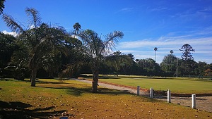 圣乔治公园 4