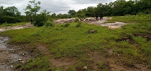 旧奥约国家公园 5