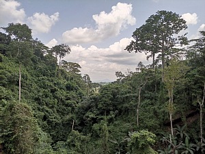 沃梅瀑布 3
