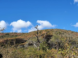 马拉乌拉自然保护区 4