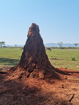 米利尔文野生动物保护区 3