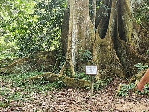 邦苏生态园 4