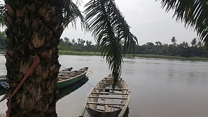 沃尔特河 4