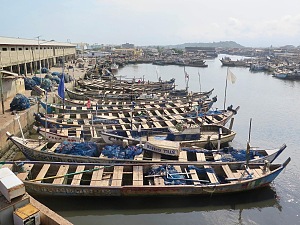埃尔米纳 5