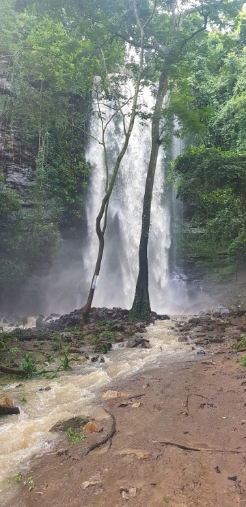 Asenema Waterfalls photo 1