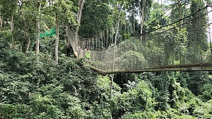 邦苏生态园 2