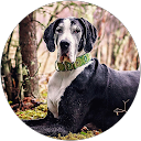 attractions-reviews-avatar