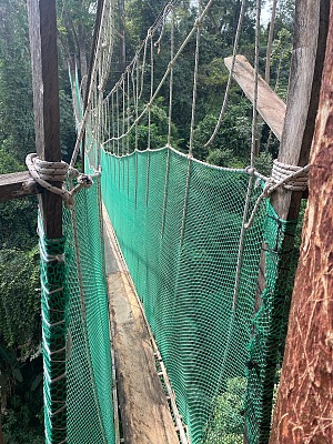 邦苏生态园 5