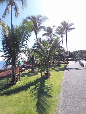 Le Barachois 2