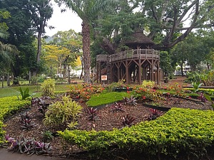 国家花园 2